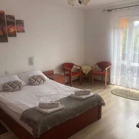 Wakacyjne - Wizygran